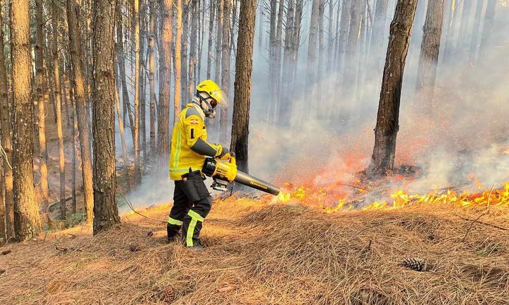 Incêndios florestais: apoio brasileiro ao Canadá e a situação atual em Santa Catarina